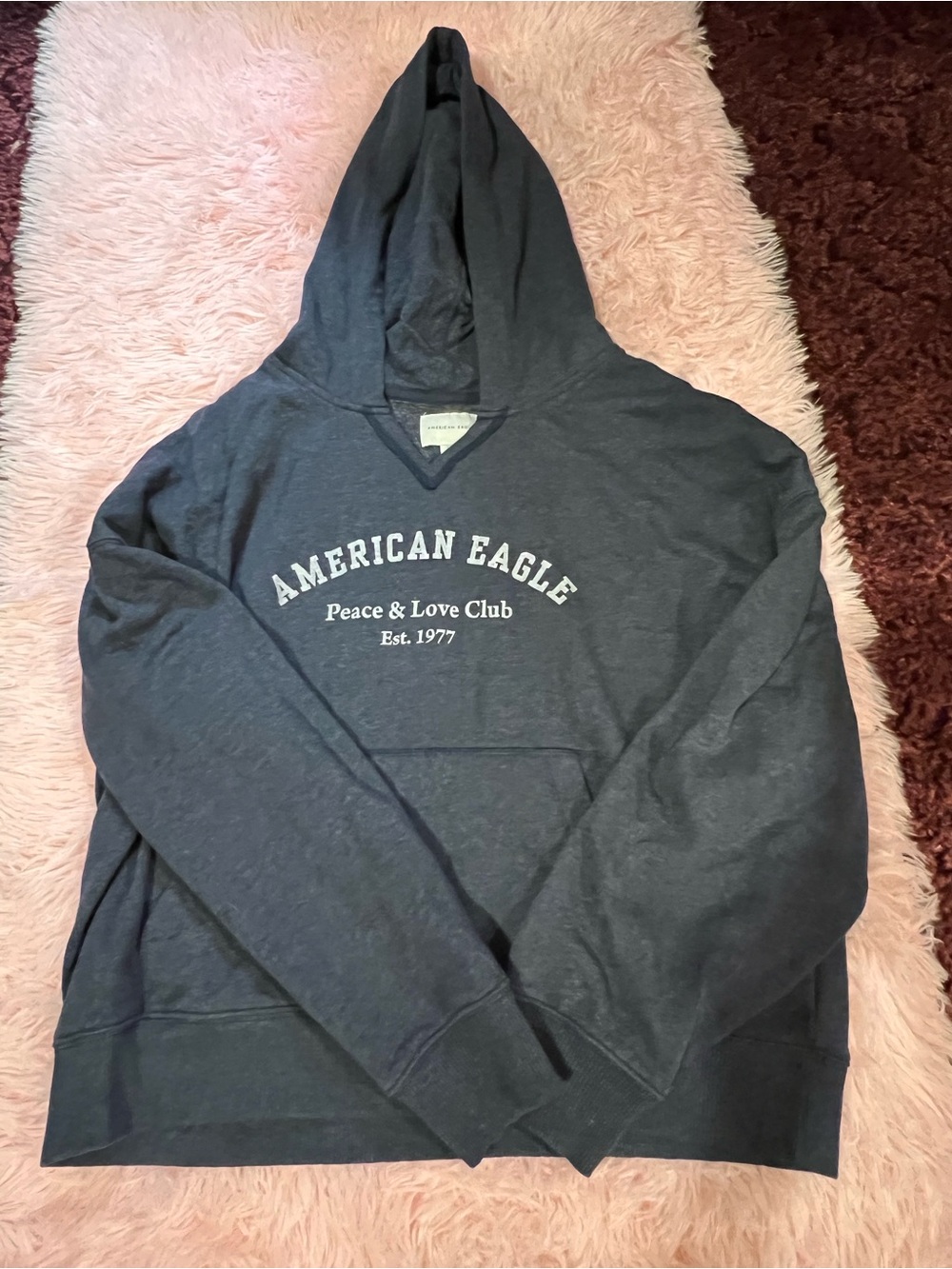American Eagle Outfitters Dark Charcoal Graphic Hoodie - Peace & Love Club